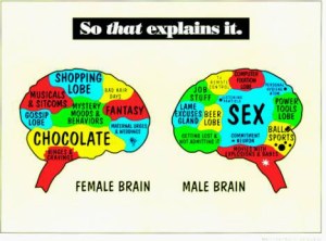 gender brains