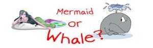 mermaid or whale