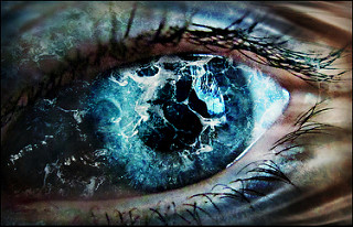 8692431269_1531243ec5_n