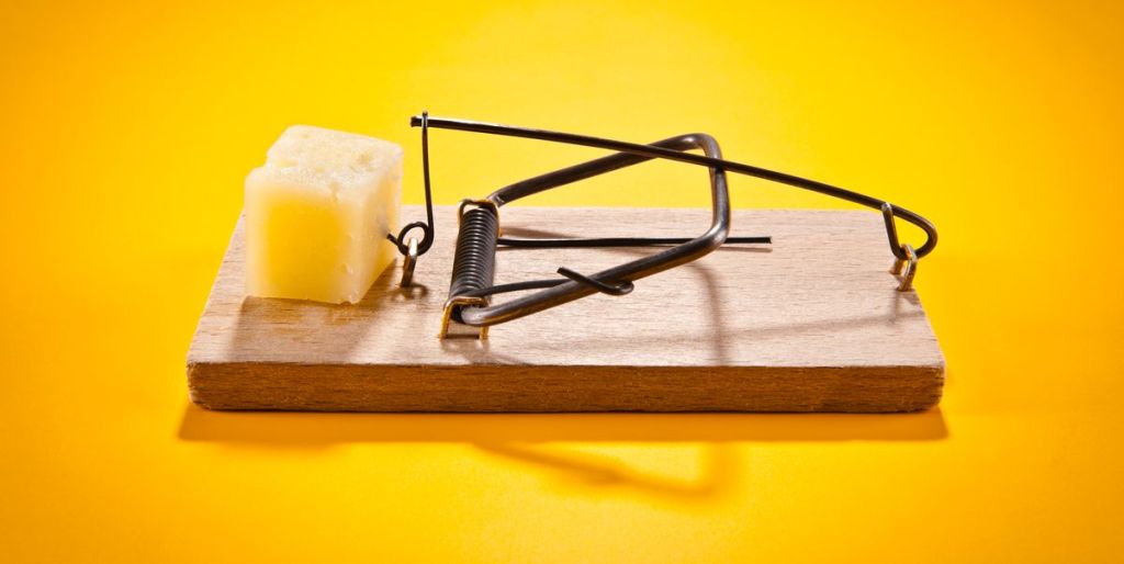 A mouse trap with a block of cheese on it. 