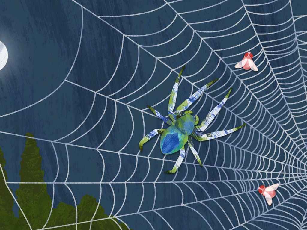 An arts and crafts image of a spider with two flies trapped in the web.